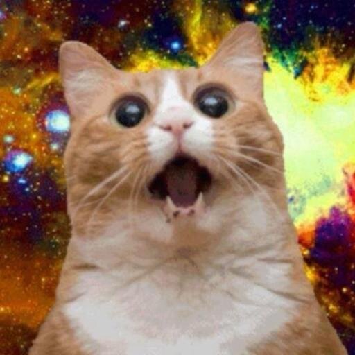 malabalaboo's profile picture. Waitress