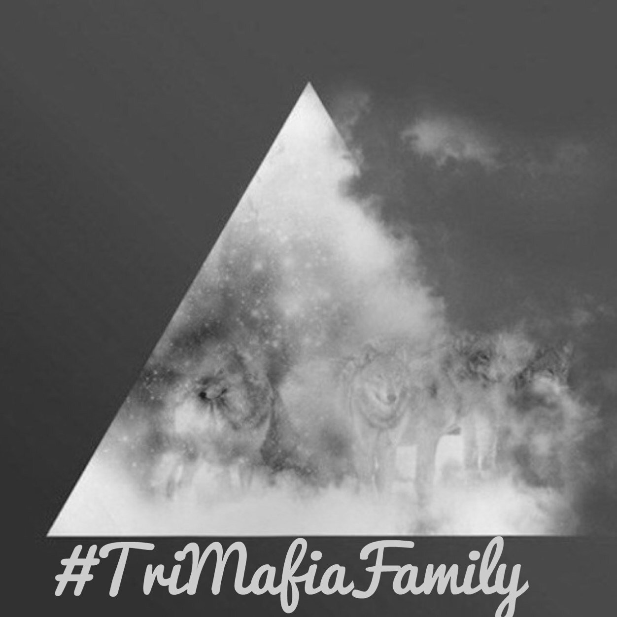 Label and management company. Home of the TriMafia Music group. For contact E-Mail goldpyramidmusic@hotmail.com