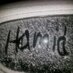 hamidreza rahimi (@hamidrahimi69) Twitter profile photo