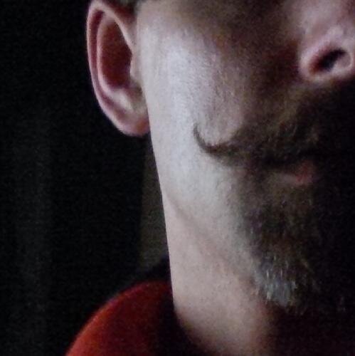 tysimons's profile picture. old fashioned strong slient type, with no time for emotional crap!