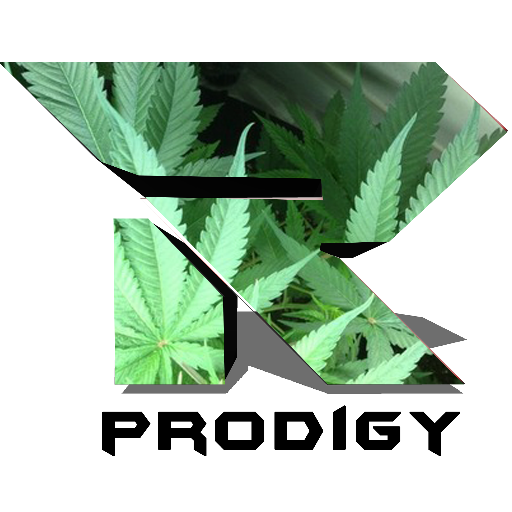 Leader of RaNe Clan @2k! //// Goal-100k | Clan Youtube: RaNe Clan /// Personal Channel: RaNe ProDiGy