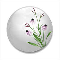 Prairie Moon Nursery (@prairiemoonnrsy) 's Twitter Profile Photo Prairie Moon Nursery (@prairiemoonnrsy) 's Twitter Profile Photo