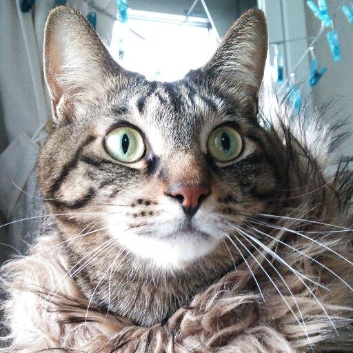 aoi_hiro_1961's profile picture. HIRO(ひろ)ひろです。ブログでは、健康、美容、仕事、英会話、プログラミングスクール、旅行、芸能オーディション、恋活、婚活等について情報を発信しています。よかったら、フォローしてください。(⌒∇⌒)