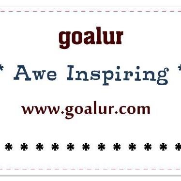 Goalur Inc. is a company used for searches by individuals or businesses on the Internet. We are an excellent source of data, ideal for finding particular goods