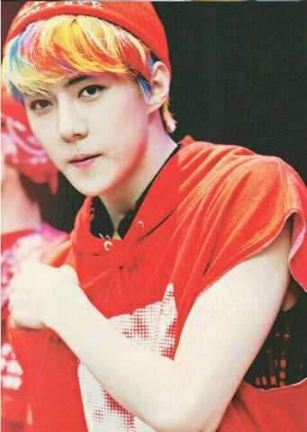 I'm a WOLF . We are one