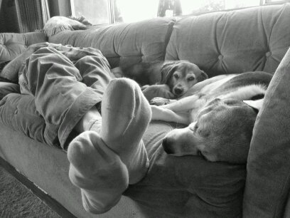 taiandbuckles's profile picture. call me rainbow because I am over this