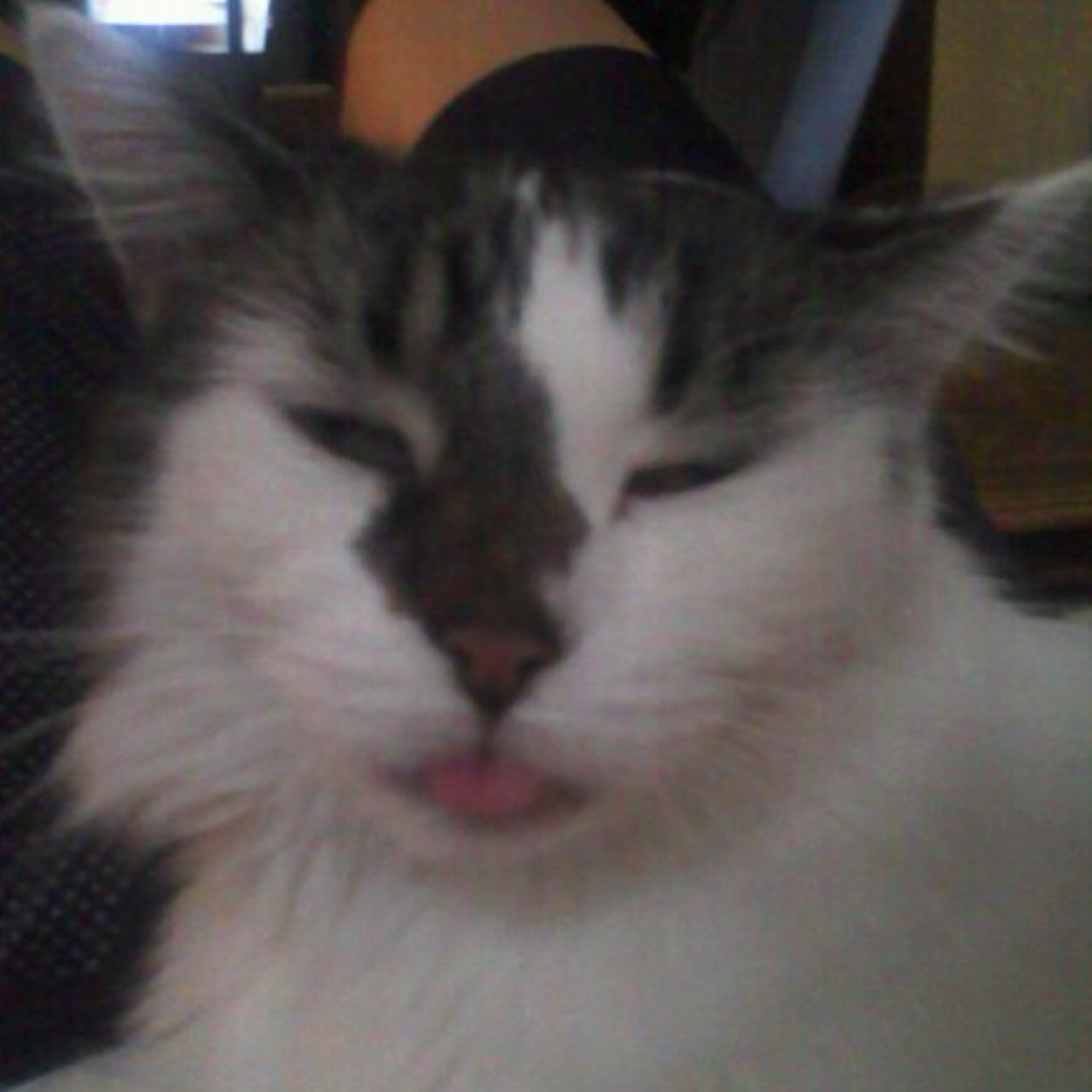 Brittlyne_2012's profile picture. 