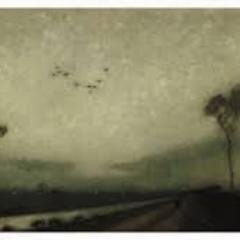 CecielNaalden's profile picture. 