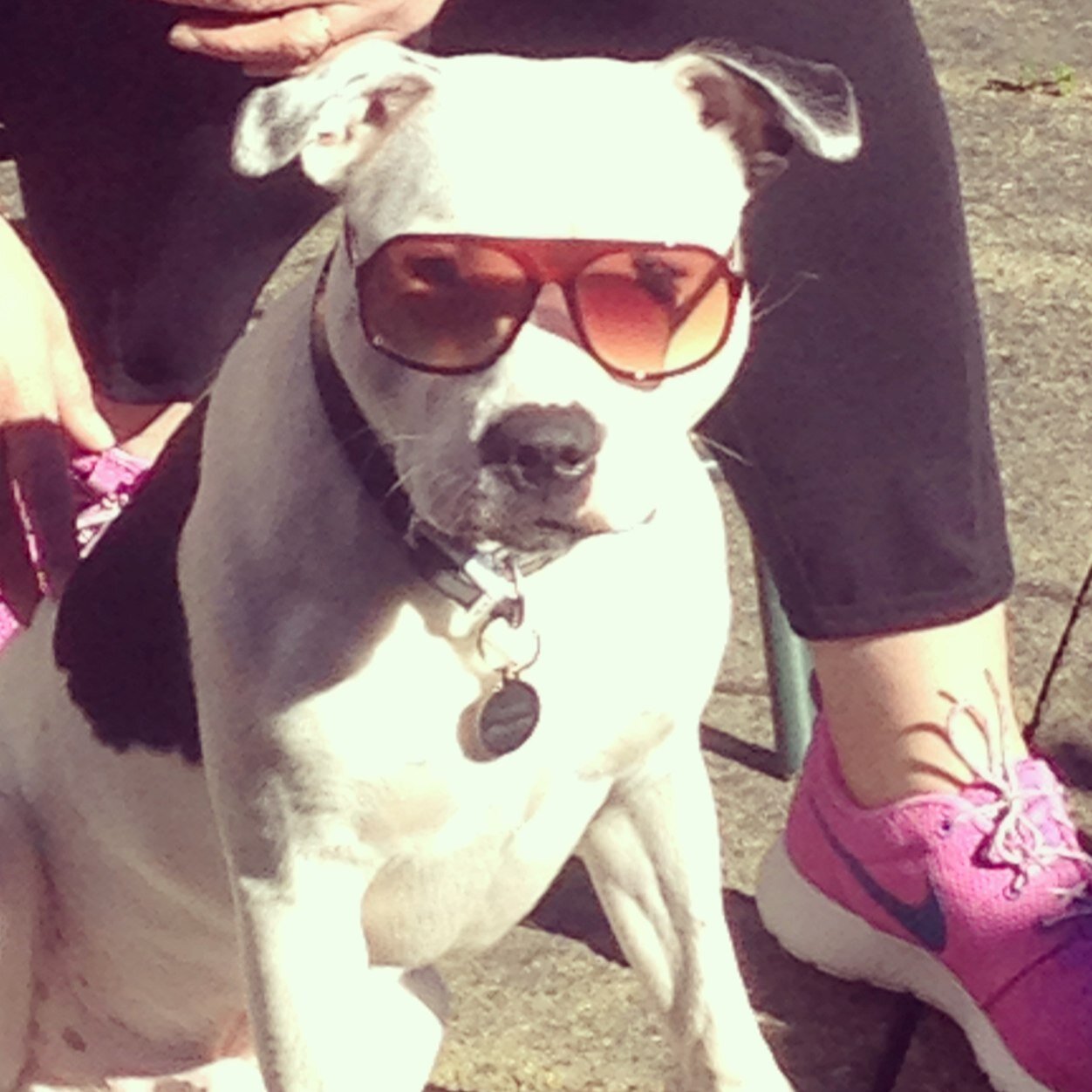 tomwestham13's profile picture. 