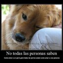 norma acuña - @moma1653 - Twitter