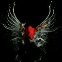 Arif Aziz - @AzizMdArif - Twitter