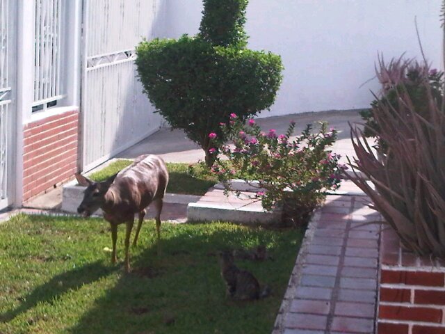 rcfredy's profile picture. 