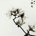 nhoor on laen (@on_sd) Twitter profile photo