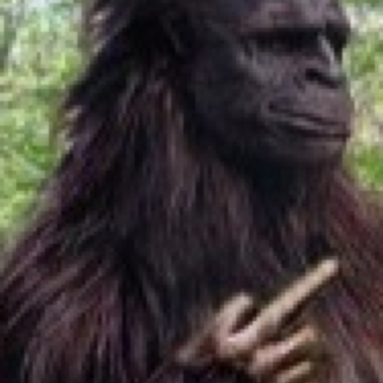 Big. Elusive humanoid beast of North America. Good at log swinging, boulder throwing, salmon wielding, delimbing, and stomping.