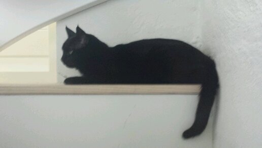 KvanProoije's profile picture. 