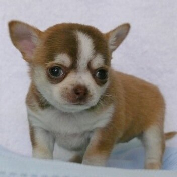 happy03181646's profile picture. 