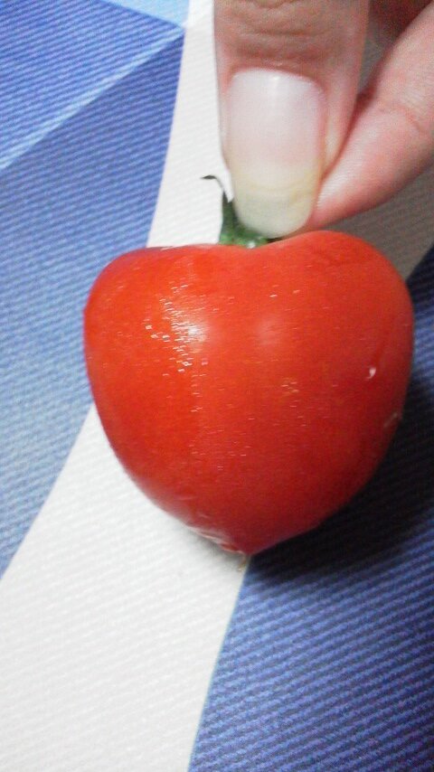 fuuri1122's profile picture. ニコニコしてます。
よければ！
副垢に変更してます。
リア垢とも言える。
とうらぶ始めました。