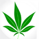 A Free Cannabis Locator for iPhone & iPod Touch