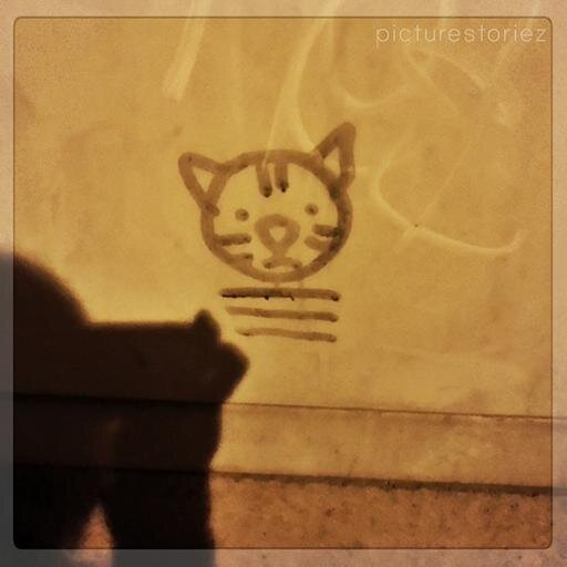 picturestoriez's profile picture. photo blogger