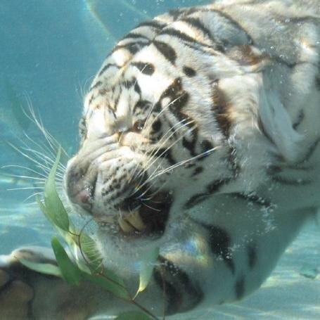 AkSQue2014's profile picture. 