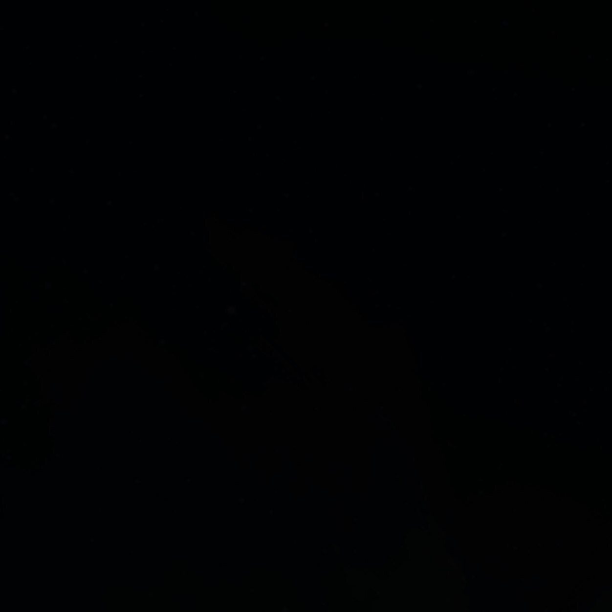:::::::::::::::::::::::::::::::::::::::::::::::::::