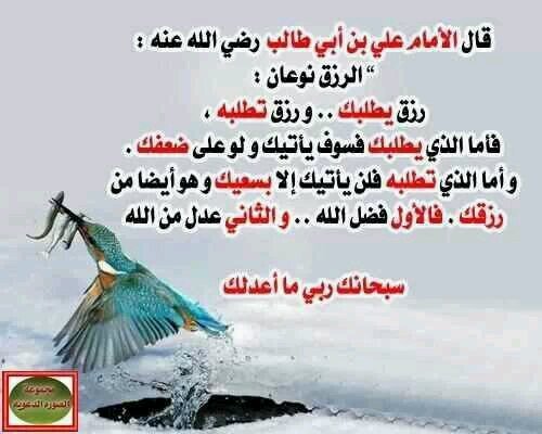 mr29780457's profile picture. استاذ دكتور - جامعة بنغازى