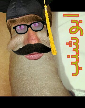 qqpp9600021 Profile Picture