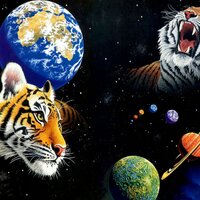Space Tigers (@spacetigers) 's Twitter Profile