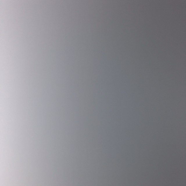 Rebecca_Wolff18's profile picture. 