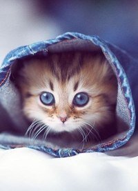 alinaborsheva24's profile picture. 