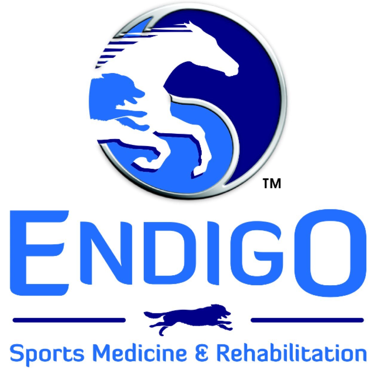 EndigoEquine's profile picture. 