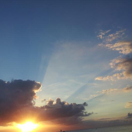 zongolo's profile picture. 