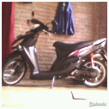 Rosi_hooligans's profile picture. 