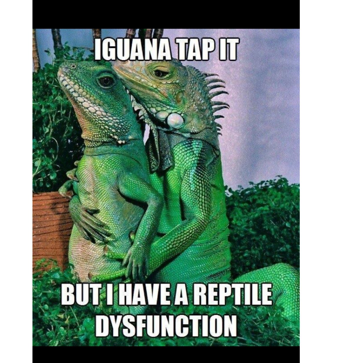 rust_aqua's profile picture. Selling an elgato for £100 pm me for details