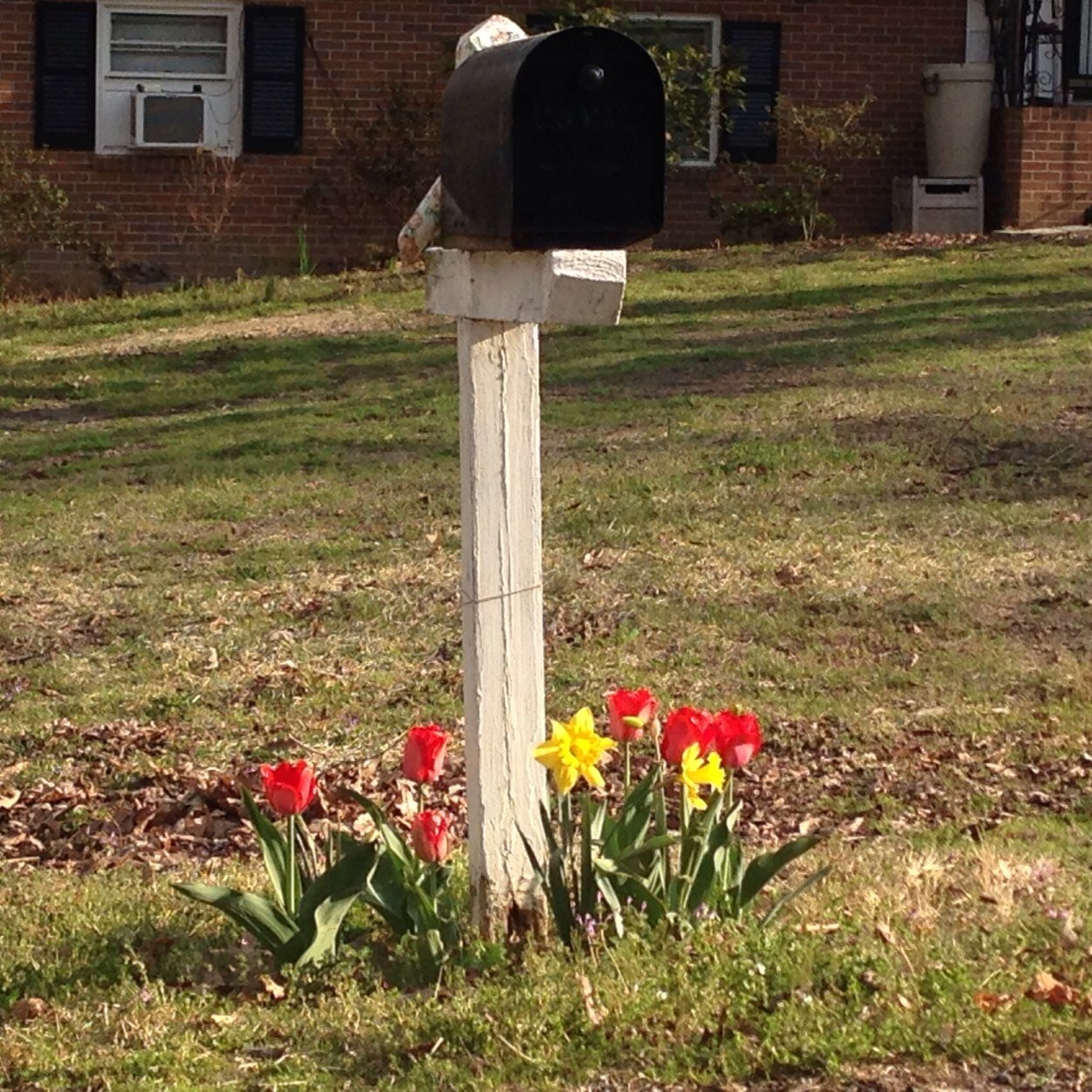 furparent2017's profile picture. Latina with a Masters in accounting and Trump Supporter. I’m a rescuer of animals in need. I believe GMOS should be labeled. I love Baseball.