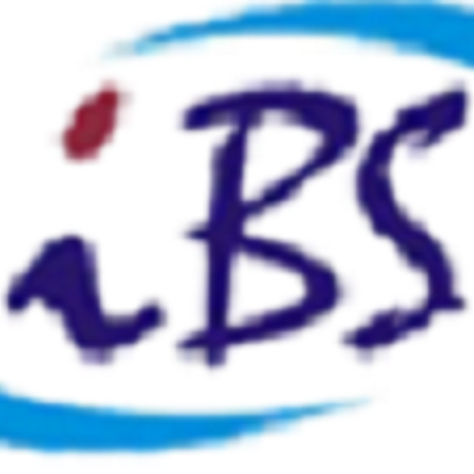 IBS Infosystems is a website designing company in delhi ncr