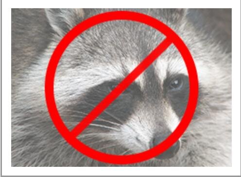 San Jose Wildlife Control is committed only to provide humane animal control techniques in order to protect the animal's rights without sacrificing the quality