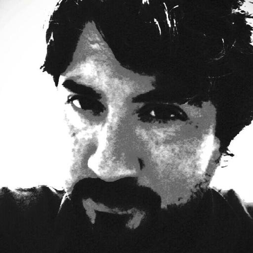 WebMaster
Ing. En informatica, Diseñador Publicitario, Analista de Sistemas