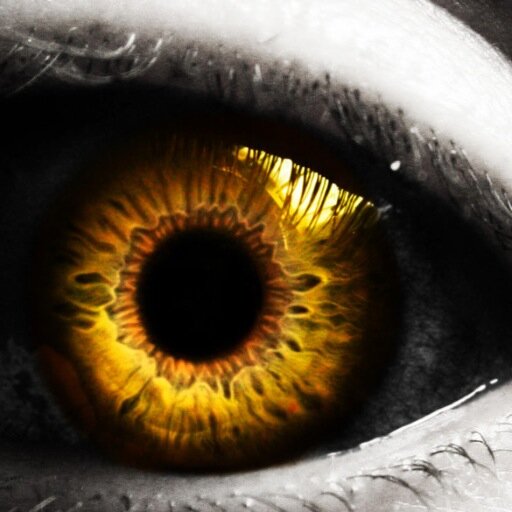 EyesOnTally's profile picture. 