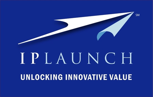 Looking for CEO w/ strong biz experience in semiconductor or related field