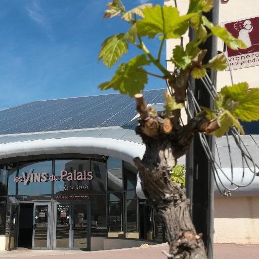Spécialiste des vins du Languedoc Roussillon, de France et du monde. Plus de 1500 références. Vitrine des Vignerons Indépendants. Spiritueux, épicerie fine.