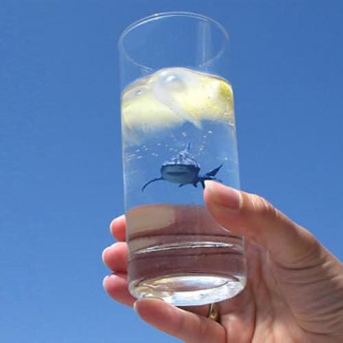 miggu's profile picture. This virtual space is only an elevated and electronic version of the complex and multifaceted person I am. Technophile and technophobe.