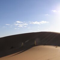 Desert Luxury Camp (@desertluxurycam) 's Twitter Profile