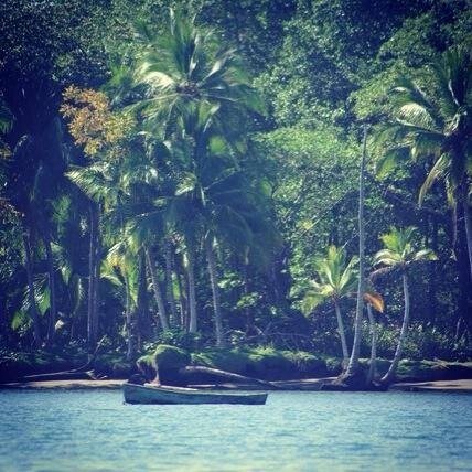 Ticotown Realty specializes in OSA peninsula properties in southern Costa Rica. Contact us if you want expert advice from the area.