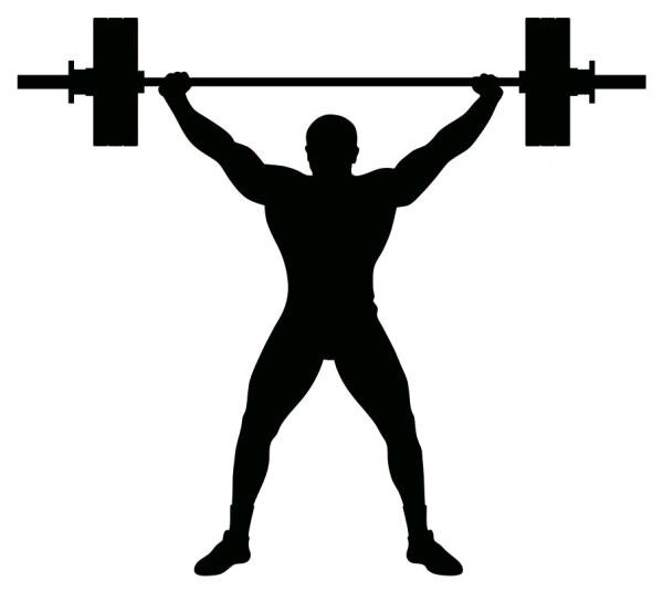 Dedicated to debunking bro-science, giving truth to fitness and nutrition, giving useful and helpful information, and helping people achieve their goals.