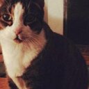 JD - @JacksonDuncan00 - Twitter