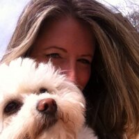 Connie knoerr (@cknoerr) 's Twitter Profile