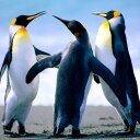 Fabio ribas - @FabioRibas89 - Twitter