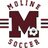 molinesoccer's profile image