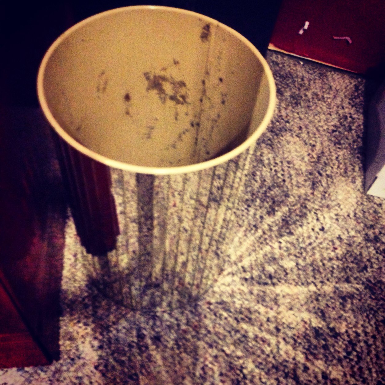 DiscoTrashcan's profile picture. The Disco Trashcan recording studio and my various musical projects. #nopukingintheDiscoTrashcan